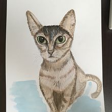 Mi Proyecto del curso: Técnicas experimentales de acuarela para principiantes . Un progetto di Illustrazione tradizionale di Carol Mendoza - 10.04.2021