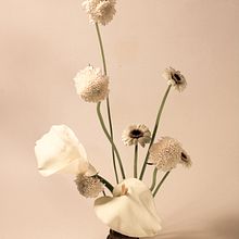 MONOCHROME.. Art Direction, and Fine-Art Photograph project by Renata Vomend - 01.05.2021