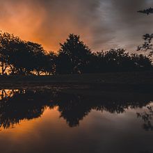 Mi Proyecto del curso: Fotografía de paisaje y naturaleza. Un proyecto de Fotografía y Fotografía en exteriores de Oti Kenig - 08.04.2021