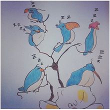 Sleeping Birds. Pencil Drawing project by Gerson Brito - 04.10.2021