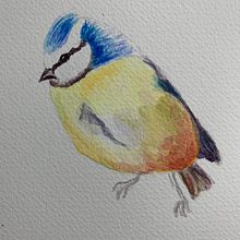 My Project 2nd bird from Artistic Water Colour Illustration . Watercolor Painting project by lkhamilton4 - 04.10.2021