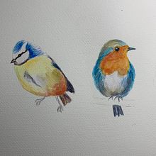 Two birds from Artistic Water colour Illustration project. Watercolor Painting project by lkhamilton4 - 04.10.2021