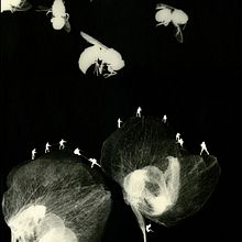 Memoir. Film Photograph, Fine-Art Photograph, Traditional illustration, and Photograph project by Gabriela Sauer Kolcavova - 04.10.2021