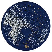 Course inspiration for illustrations. Embroider, and Traditional illustration project by Gabriela Sauer Kolcavova - 04.10.2021