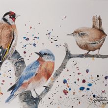 Mi Proyecto del curso: Acuarela artística para ilustración de aves. Naturalistic Illustration project by Juan Toledo Toledo - 04.10.2021