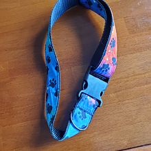 Dog Collar. Projekt z dziedziny  Sz i cie użytkownika connie nolan - 10.04.2021