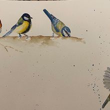 My project in Artistic Watercolor Techniques for Illustrating Birds course. Watercolor Painting project by amymdburns - 04.10.2021