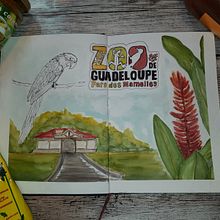 Mein Kursprojekt: Aquarellreiseheft - Zoo und Botanik Guadeloupe. Watercolor Painting project by juliana_esterer - 04.10.2021
