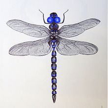 Experiments with Pen. Un proyecto de Dibujo artístico e Ilustración tradicional de Dimitra Kountiou - 10.04.2021
