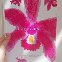 Bordado e ilustración de una orquídea la flor de mi país Colombia.. Projekt z dziedziny  Haft, Ilustracja naturalist i czna użytkownika Lina María Mora Brun - 10.04.2021