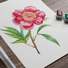 Mi Proyecto del curso: Ilustración botánica con acuarela. Un progetto di Illustrazione botanica di Natalia Molina Rico - 11.04.2021