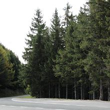 Mi Proyecto del curso: Grabado en relieve y estampación contemporánea. Un proyecto de Bellas Artes de Mónica Ciurria - 12.04.2021