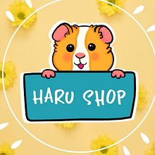 Mi Proyecto del curso: Haru Shop. Instagram project by Luis Muñoz Asurza - 04.11.2021