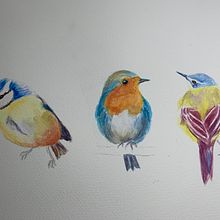 My Project  3 birds Artistic water colour Illustration. Watercolor Painting project by lkhamilton4 - 04.11.2021