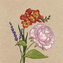 Spring Time. Un progetto di Illustrazione botanica, Disegno digitale e Illustrazione digitale di Mariangela Positano - 23.03.2021