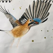 My project in Illustrating Nature: A Creative Exploration course. Drawing project by claudia.martinowski - 04.11.2021
