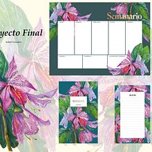  Bahuinia Blakeana. Botanical Illustration project by Isabel Granados - 04.11.2021