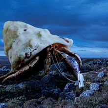 Montaria Oceânica. Un proyecto de Diseño gráfico y Fotomontaje de Henrique Oliveira - 11.04.2021