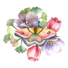 Mein Kursprojekt: Naturalistische Zeichnung und Komposition mit Aquarell. Traditional illustration project by Gabriele Dreßler - 04.11.2021
