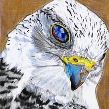 Aves en lápices de colores. Drawing, Pencil Drawing, Artistic Drawing, Realistic Drawing, and Traditional illustration project by Elizabeth Coloma Santibañez - 04.11.2021