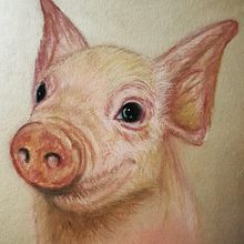 Pastellstifte Pig . Un proyecto de Ilustración tradicional de Jazz - 12.04.2021