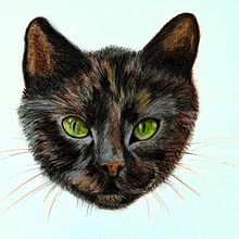 street cat Buntstifte  . Ilustrasi tradisional proyek oleh Jazz - 04.12.2021