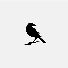BCF / Blackbird Charity Finance. Un projet de Création de logos de Szilard Postol - 12.04.2021