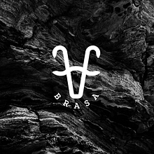 Brasa - Brand Identity. Br, ing, Identit, Graphic Design, and Packaging project by Sebastian Gutierrez - 04.12.2021