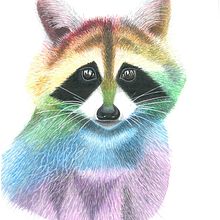 Lavurso . Ilustrație tradițională de Juan Velasco - 04.12.2021