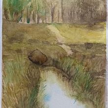 Mi Proyecto del curso:  Paisajes naturales en acuarela. Un proyecto de Bellas Artes, Pintura y Pintura a la acuarela de danielagv_artistaplastica - 12.04.2021