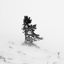 Inclemente. Un proyecto de Fotografía, Fotografía digital y Fotografía en exteriores de Julián Mauricio Fandiño Chía - 19.01.2019