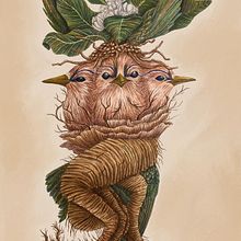 Mandrágora. Un projet de Dessin réaliste, Illustration traditionnelle et Illustration naturaliste de Fabiana Moch - 13.04.2021