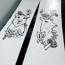 Myoko House Snowboards. Botanical Illustration, Traditional illustration, and Painting project by Stephanie Attard - 11.15.2019