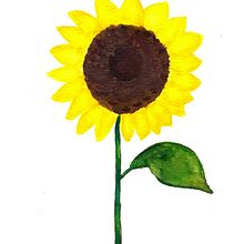 MarArtesOficial - Flor Girassol - Temática. Drawing, Pencil Drawing, Artistic Drawing, Painting, Acr, lic Painting, and Watercolor Painting project by MarArtesOficial - 04.07.2022