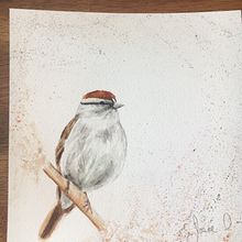 Ma mésange: Techniques artistiques d'aquarelle pour illustrer les oiseaux. Een project van  Creativiteit van Josée DIon - 13.04.2021