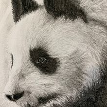My project in Artistic Charcoal Portraiture: Creating Atmosphere course. Character Design, and Traditional illustration project by Francesca M - 04.13.2021
