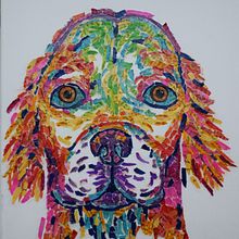 Irish Setter. Collage project by Sofia Prado - 11.14.2019