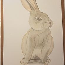 Coelho. Un progetto di Pittura e Pittura ad acquerello di Vanessa Kalil Cabello Ferraz Araujo - 14.04.2021