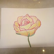 Meu projeto do curso: Rosas. Drawing project by michelleafacchin - 04.14.2021