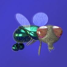 Mi Proyecto del curso: Creación de personajes con ZBrush y Cinema4D. Un progetto di 3D di Raquel Martinez Diaz - 14.04.2021