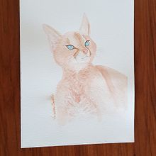 Gato. Un progetto di Pittura e Pittura ad acquerello di Vanessa Kalil Cabello Ferraz Araujo - 14.04.2021