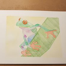 Sapo. Un progetto di Pittura e Pittura ad acquerello di Vanessa Kalil Cabello Ferraz Araujo - 14.04.2021