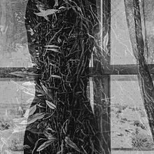 Entranhas. Een project van Portretfotografie van Paula Cristina De Oliveira - 14.04.2021