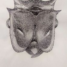 acuarela_naturalista. Ink Illustration, Naturalistic Illustration, and Watercolor Painting project by Cristina Gómez - 04.14.2021