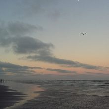 Colección de atardeceres. Photograph, Outdoor Photograph, Fine-Art Photograph, and Digital Photograph project by Mica Gonzalez - 04.15.2021
