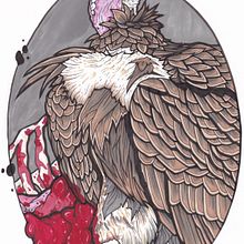Vulture. Ilustração tradicional projeto de Benjamin Stevens - 15.04.2021