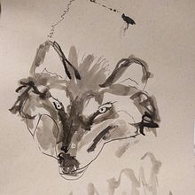animals & plants. Un progetto di Disegno, Illustrazione con inchiostro, Pittura ad acquerello e Pittura gouache di Gelsomina Eckberg - 15.04.2021