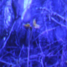 Oscillations. Film, Video, TV, and Sound Design project by Sofia Munera - 04.24.2018