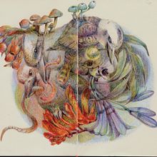 My project in Surrealist Illustration Inspired by Nature course. Projekt z dziedziny  R i sunek użytkownika AKO LAMBLE - 15.04.2021