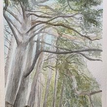 Mi Proyecto del curso:  Paisajes naturales en acuarela. Un proyecto de Ilustración tradicional de Lola - 16.04.2021